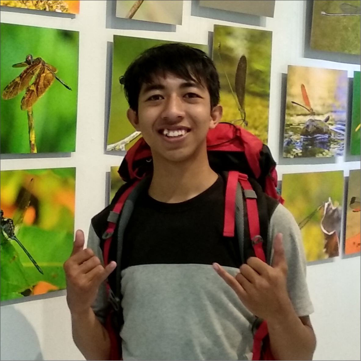 Abdul Mutholib Shahroni